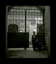 Boy and dog next to a metal gate , Shanghai, China