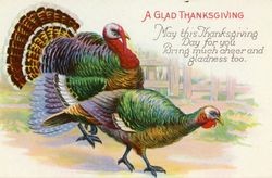 A glad Thanksgiving