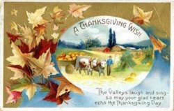 A Thanksgiving wish