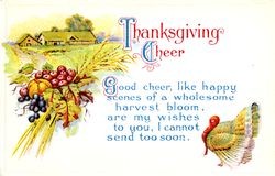 Thanksgiving cheer