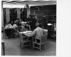 Students studying in library