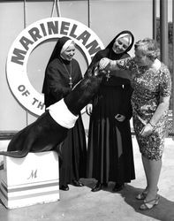 Mother Jean Baptiste, Mother Inez, and another woman feeding a seal