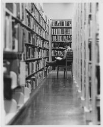 Student reading in library