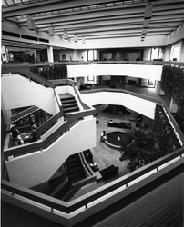 Von der Ahe Library interior