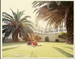 McKay Hall and queen palms, Loyola Marymount University