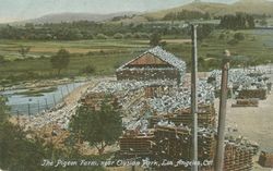 The Pigeon Farm, near Elysian Park, Los Angeles, Cal