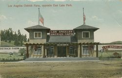 Los Angeles Ostrich Farm, opposite East Lake Park