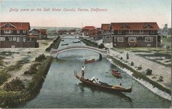 Daily scene on the salt water canals, Venice, California