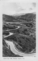 Bird's eye view, Topanga Canyon, Cal