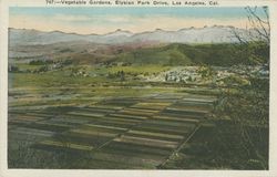 Vegetable gardens, Elysian Park Drive, Los Angeles, Cal