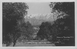 Snow on Tujunga Mts