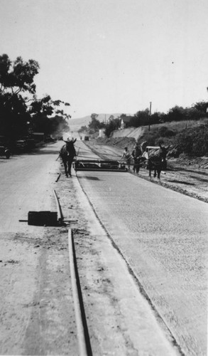 Pacific Cost Highway Construction, Horse Team Smoothing Pavement