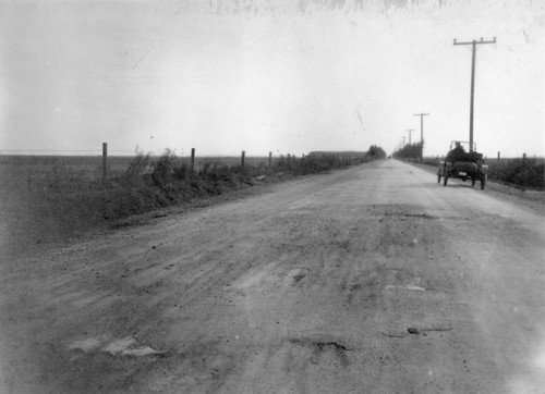 Road half mile south of Los Alamitos, looking south, 1919