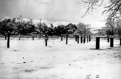 Hitching rails in Irvine Park during the snowfall of January 1949