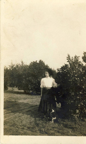 Reba Ward in orchard, Tustin