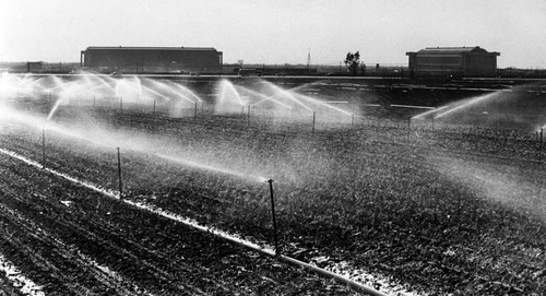 Irrigating row crops on the Tustin Marine Corps Air Station, ca. 1970