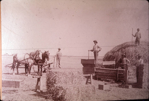 Hay baling, Warne crew