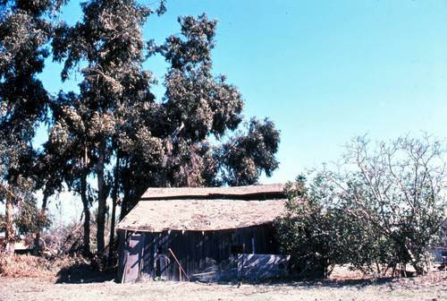 Barn, San Juan Capistrano