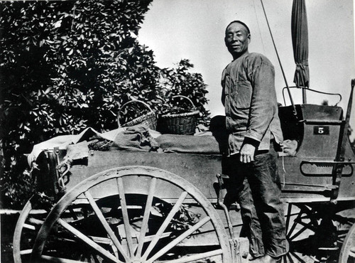 Fruit vendor, 1900