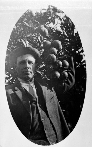 P.H. Ebel with his oranges on the tree, Mitchell Avenue, Tustin