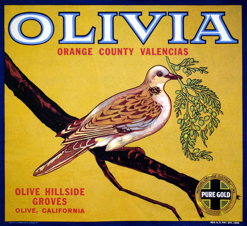 Olivia Orange County Valencias, Olive Hillsides Groves fruit crate label, 1936