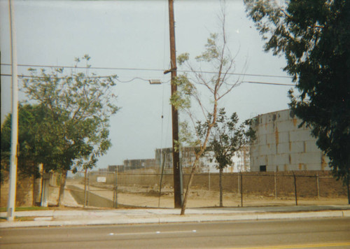 East view from Denni, Cypress, late 1980s