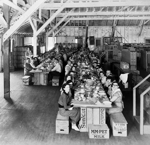 Annual potluck luncheon inside the Tustin Hills Citrus Association packing house