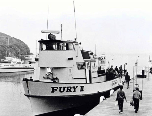 Fury II