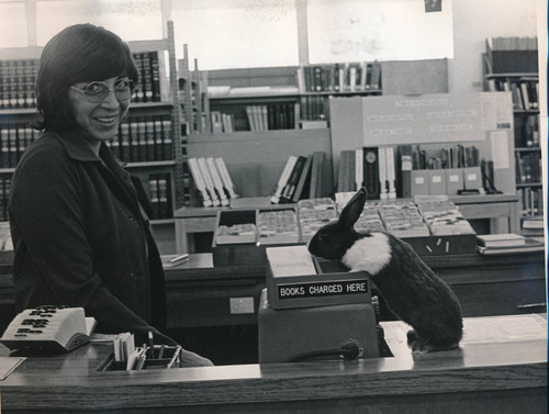 Hunny Bunny, a rabbit, and part of the pet lending program, and librarian, 1974