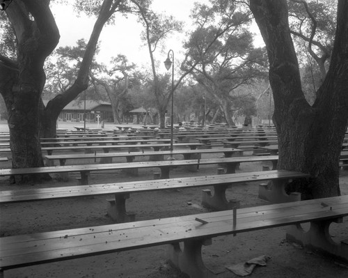 Irvine Regional Park, March, 1948