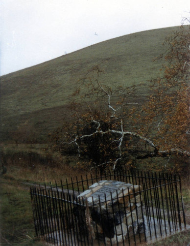 Hanging tree monument in rain