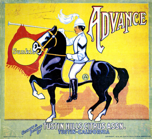 Advance Sunkist Brand, Tustin Hills Citrus Association fruit crate label, 1914