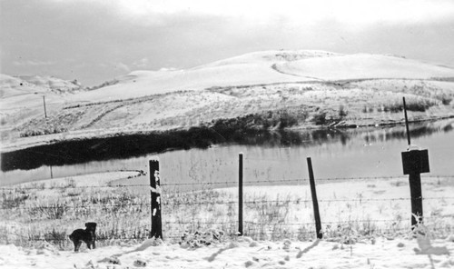 Snowfall at Peters Lake