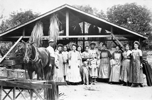 W.B. Artz apricot pitting camp, Bryan Avenue east of Tustin