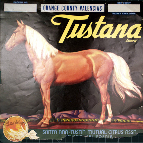 Tustana Sunkist Brand Orange County Valencias, Santa Ana-Tustin Mutual Citrus Association fruit crate label, ca. 1930