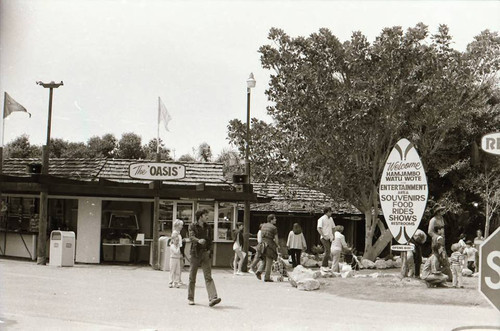 Lion Country Safari