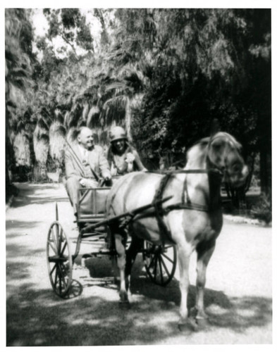 James Harvey Irvine, Jr. and Athalie Richardson Irvine Clarke in pony cart, Irvine Ranch, ca. 1929