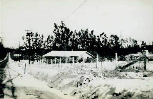 Irvine Park during the snowfall of January 1949