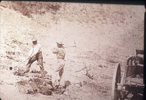 Digging brea in Brea Canyon for fuel