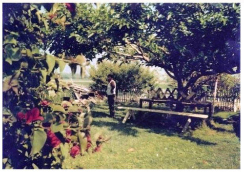 Juan Meza Salas in the yard of his home on Bryan Ave