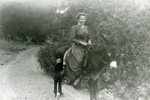 Ruby Alsbach riding down Silverado Canyon, 1910