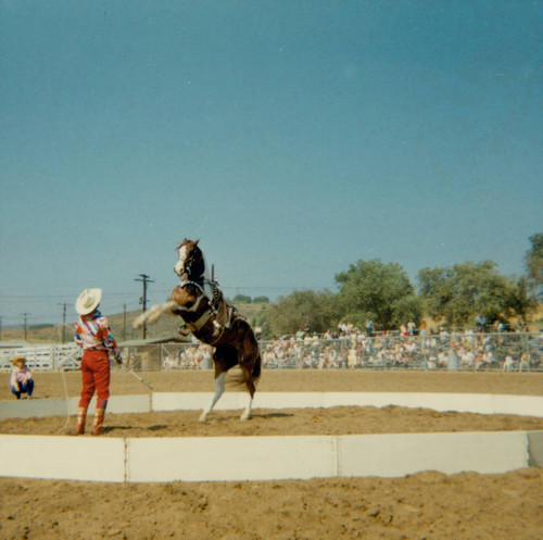 Rodeo performer Montie Montana