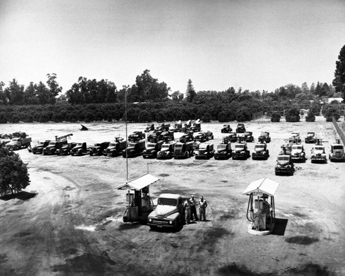 Graves & Howley Pest Control Yard, Tustin, ca. 1955