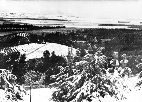 Snow in Tustin, viewed from Lemon Heights with Marine Corps Air Station hangars in the distance, 1949