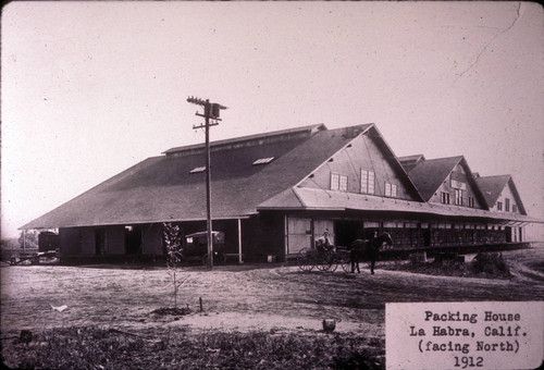 Sunkist Citrus packing house, La Habra, Calif., facing North