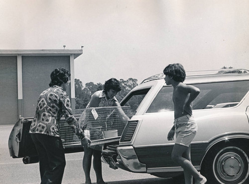 Pets returning to the library pet lending program, 1974