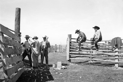 Repairing corral gate, Newport Harbor Buffalo Ranch, 1955