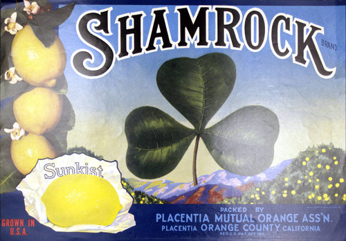 Shamrock Sunkist Brand, Placentia Mutual Orange Association fruit crate label, ca. 1930