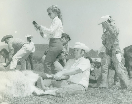 Cattle vaccination at Mission Viejo Ranch