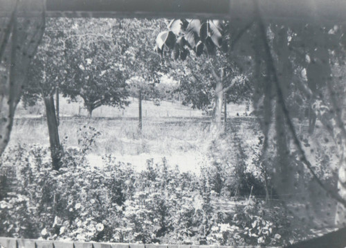 View from Rita Lobo's house looking North